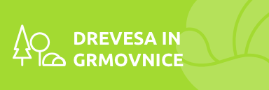 Drevesa in grmovnice