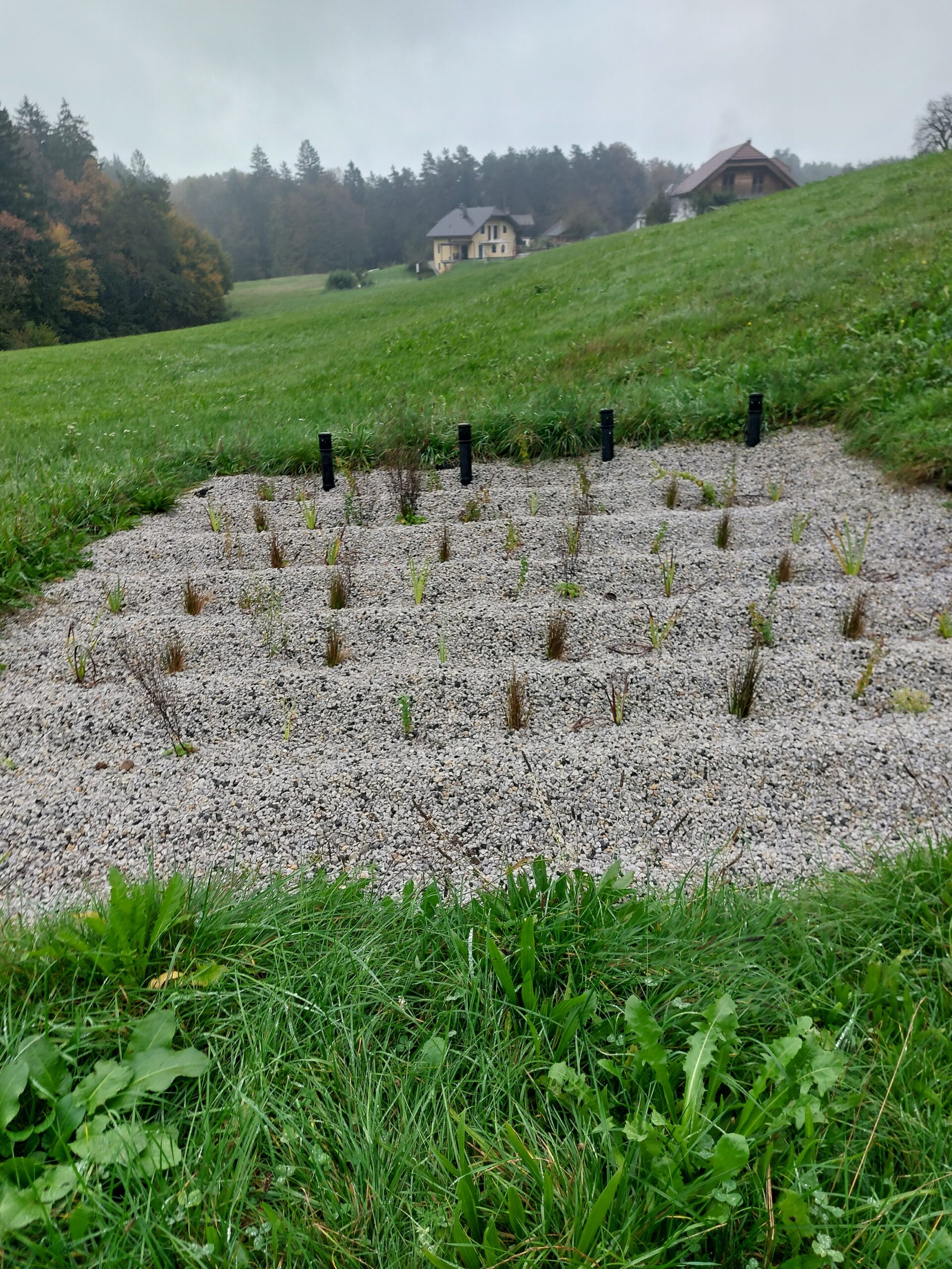 MKČN