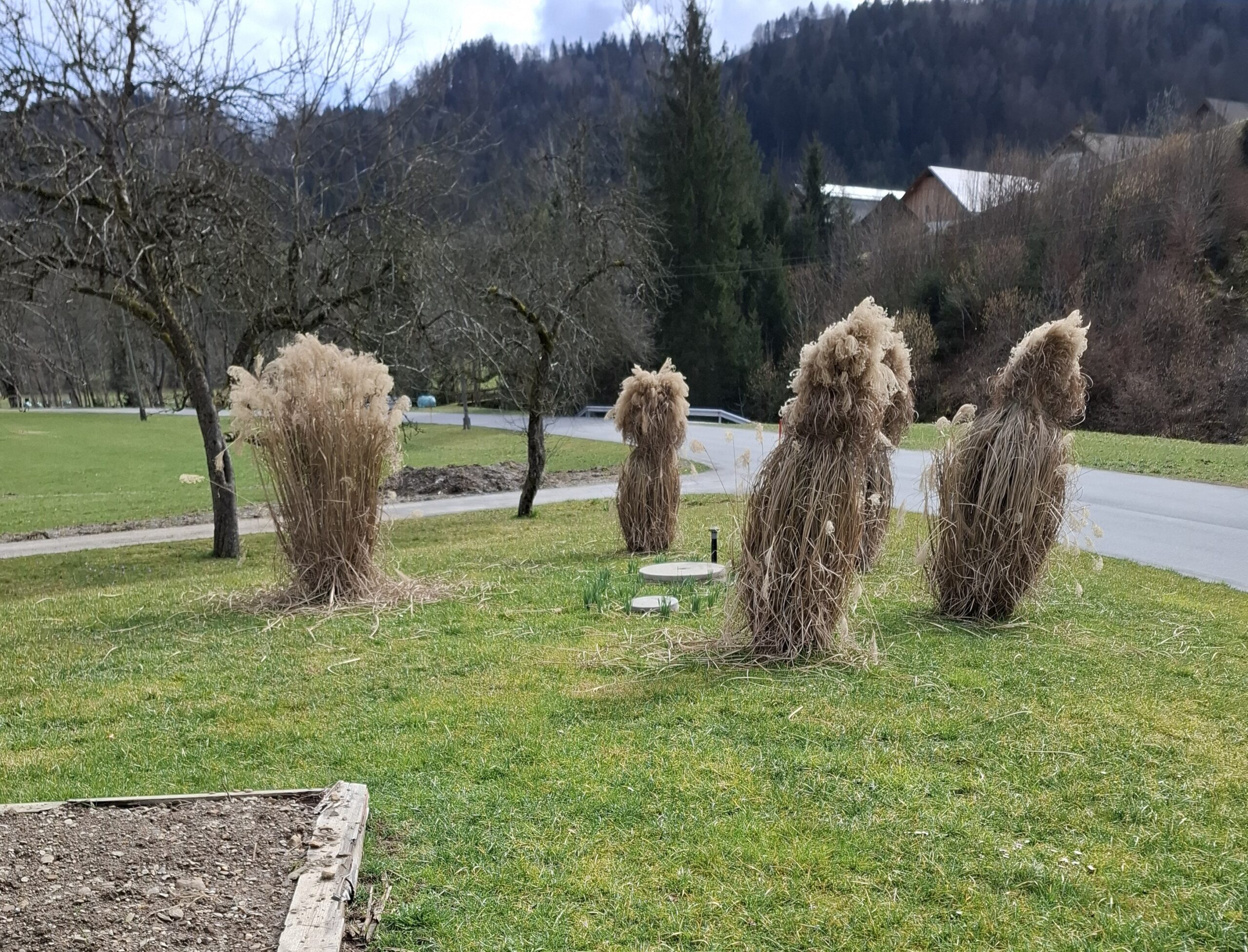 MKČN